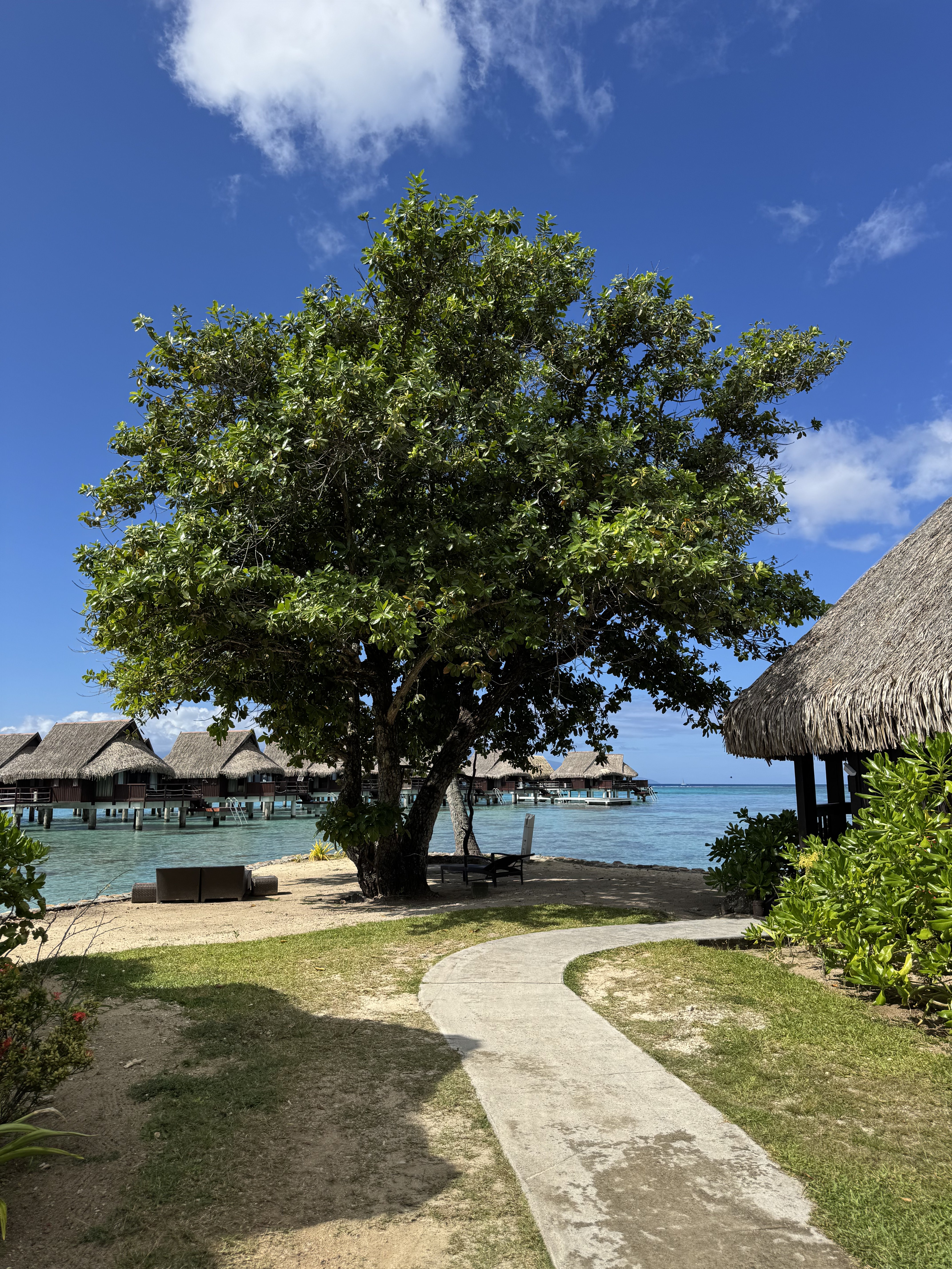 Larissa Colares, especialista em viagens econômicas